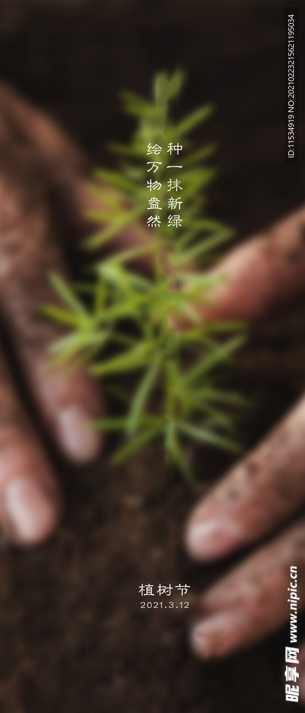 植树节海报