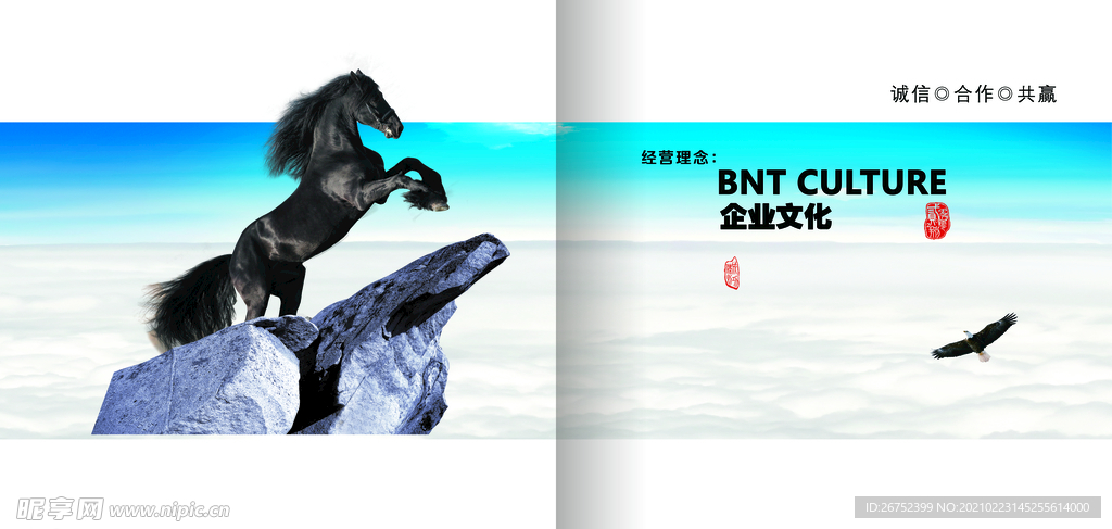 公司文化