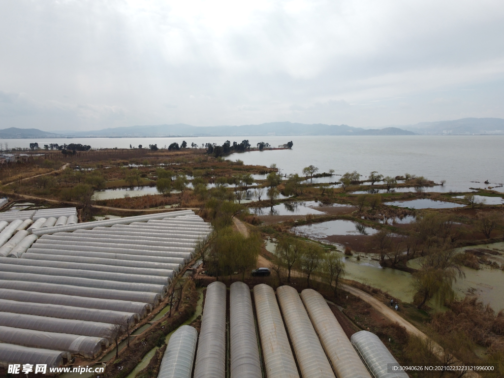 滇池湿地