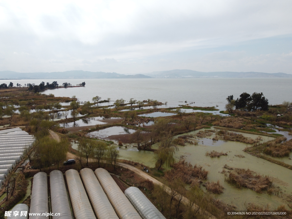 滇池湿地