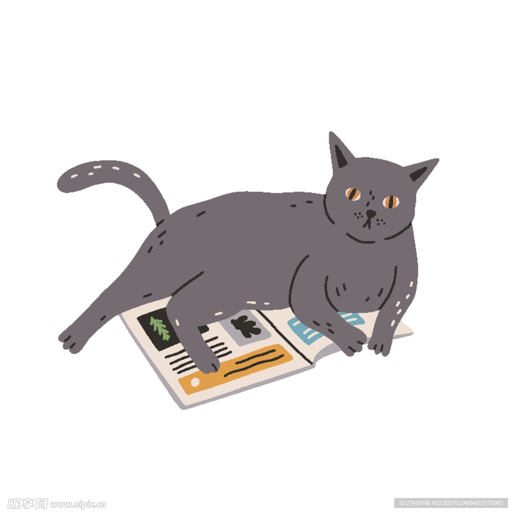 猫