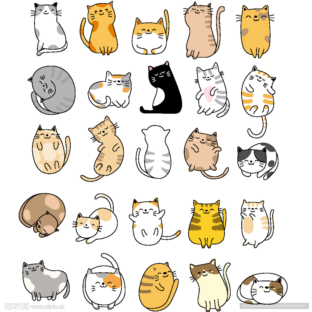 猫