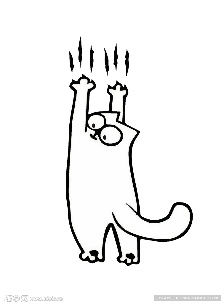 猫