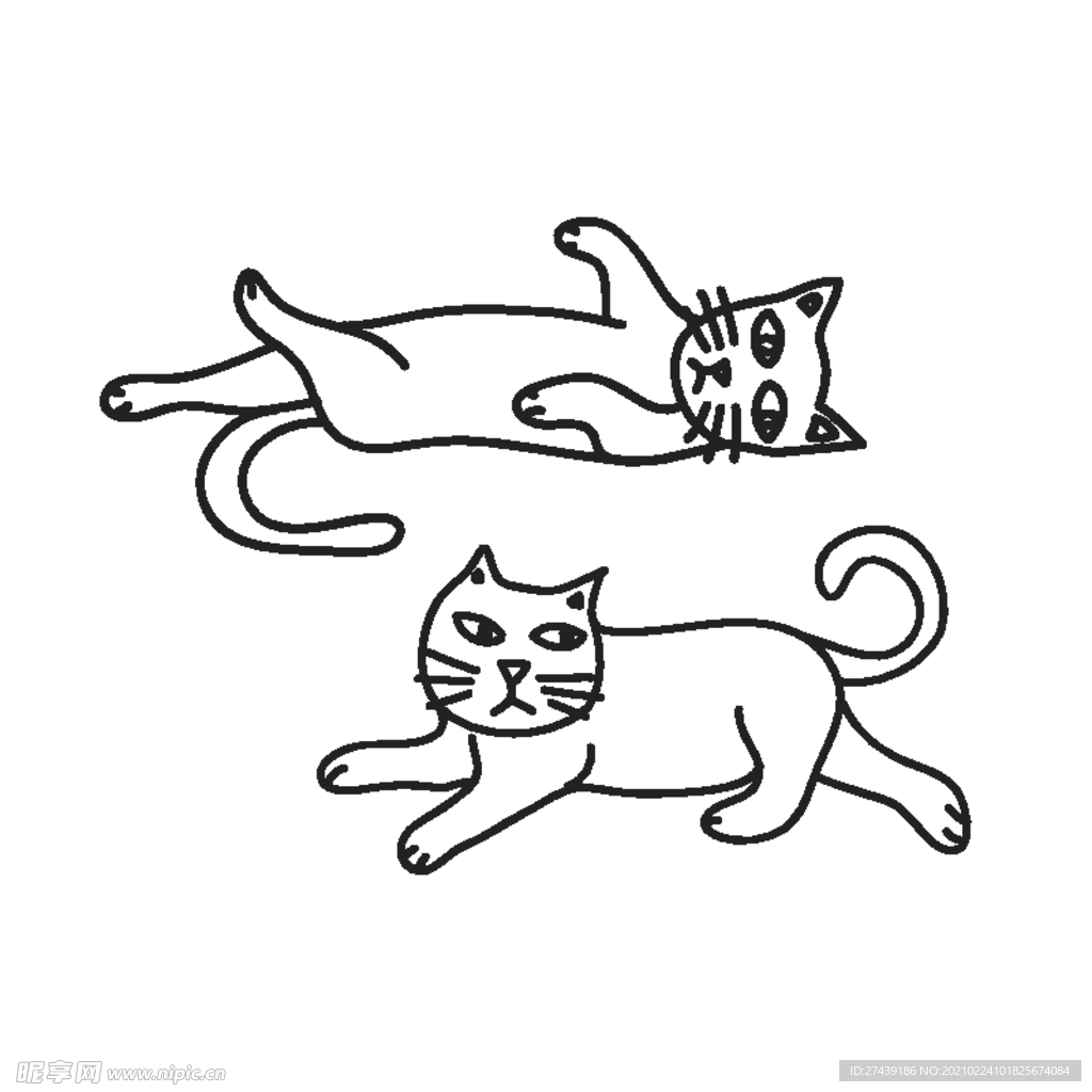猫
