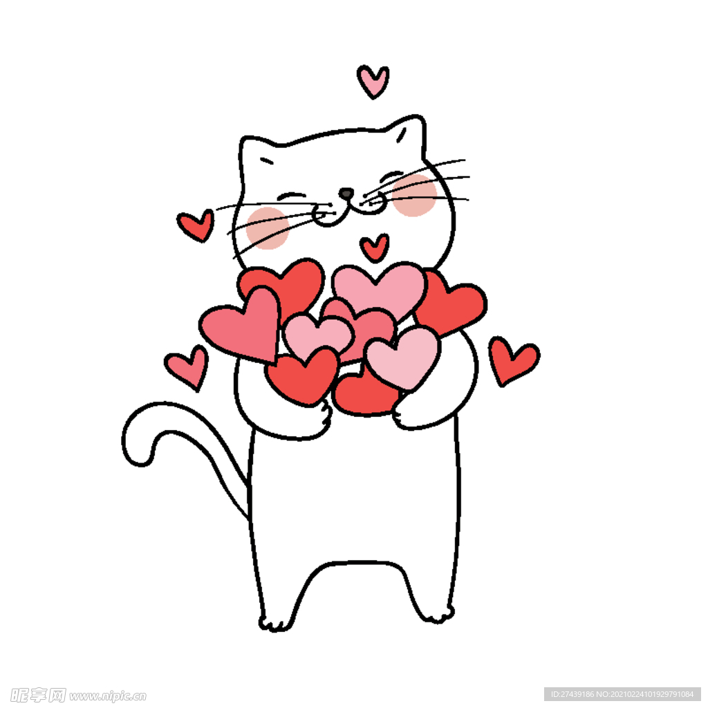 猫
