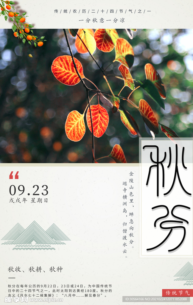 秋分节气传统活动宣传海报素材