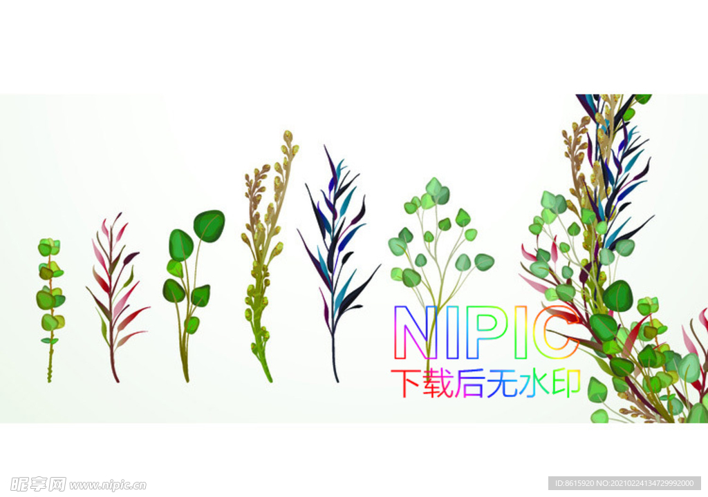 热带树叶eps矢量格式