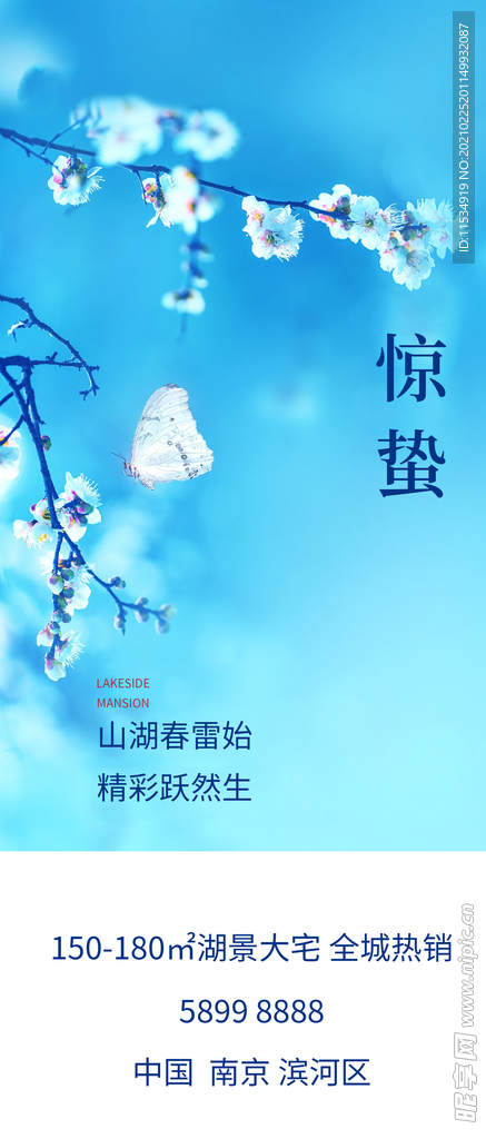 惊蛰节气海报