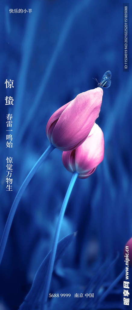 惊蛰节气海报