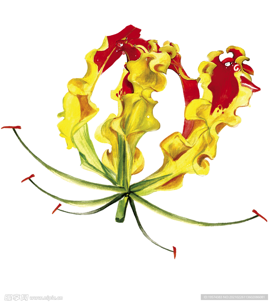 嘉兰花卉图形手绘花朵