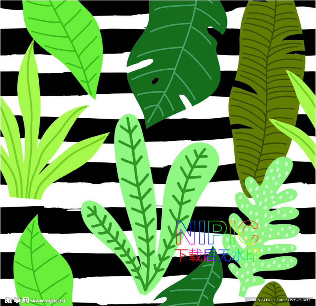 热带树叶eps图片