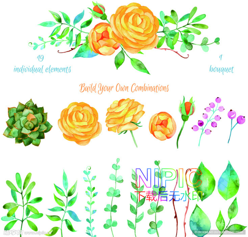 鲜花植物eps图形