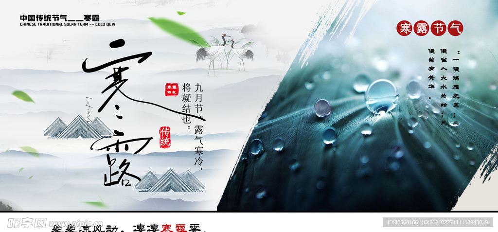 寒露节气传统活动海报素材