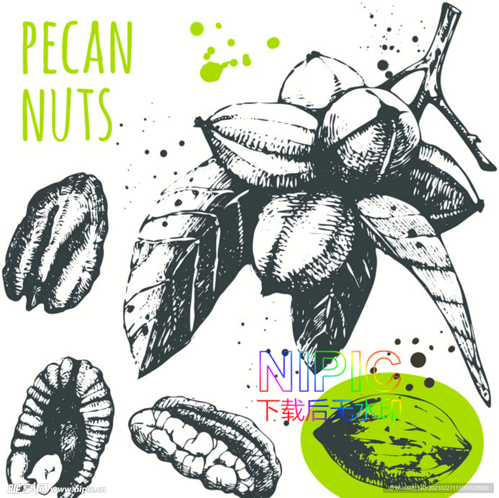 海鲜eps模板下载