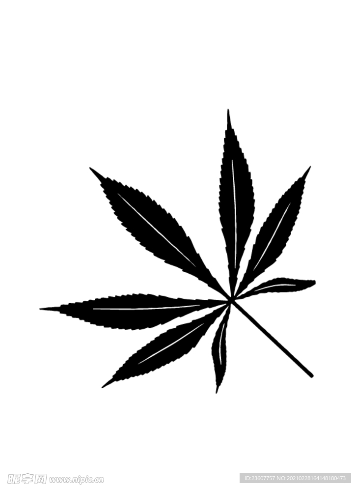 叶子