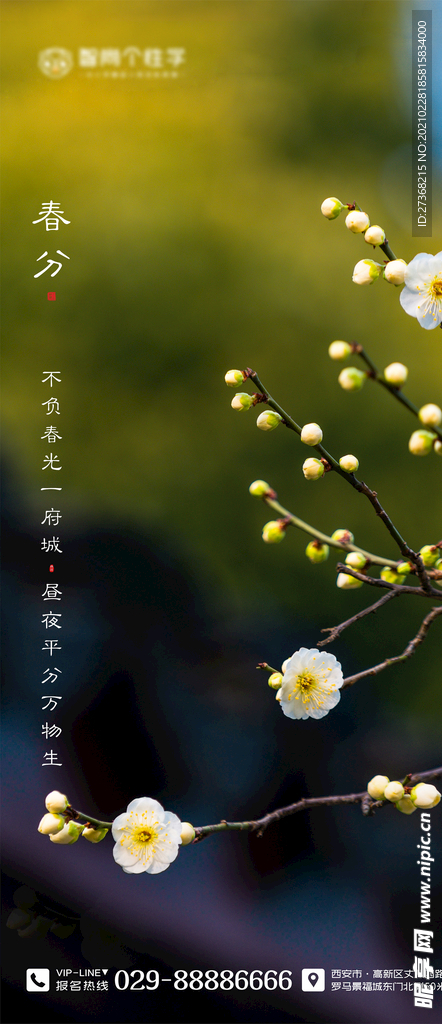 二十四节气海报 春分海报