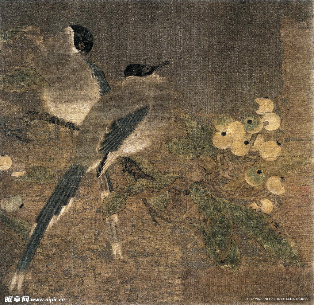 宋代国画 佚名 山鹊枇杷图
