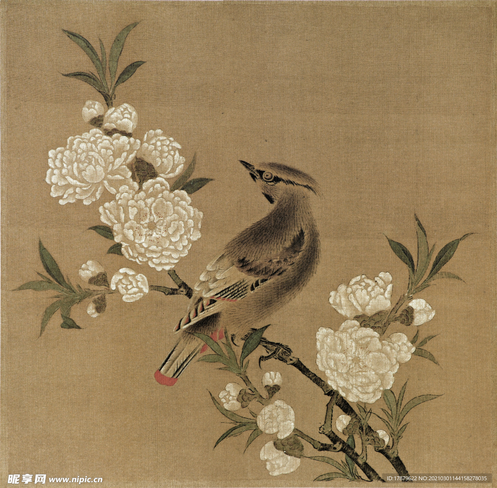 宋代国画 佚名 桃花山鸟图