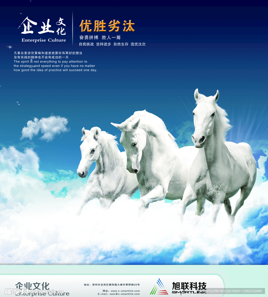 公司文化