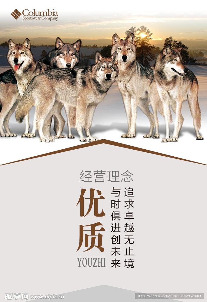 公司文化