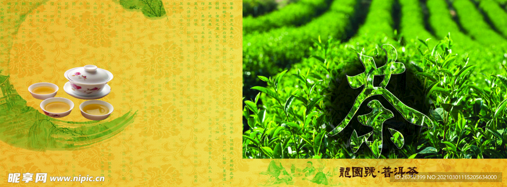公司文化