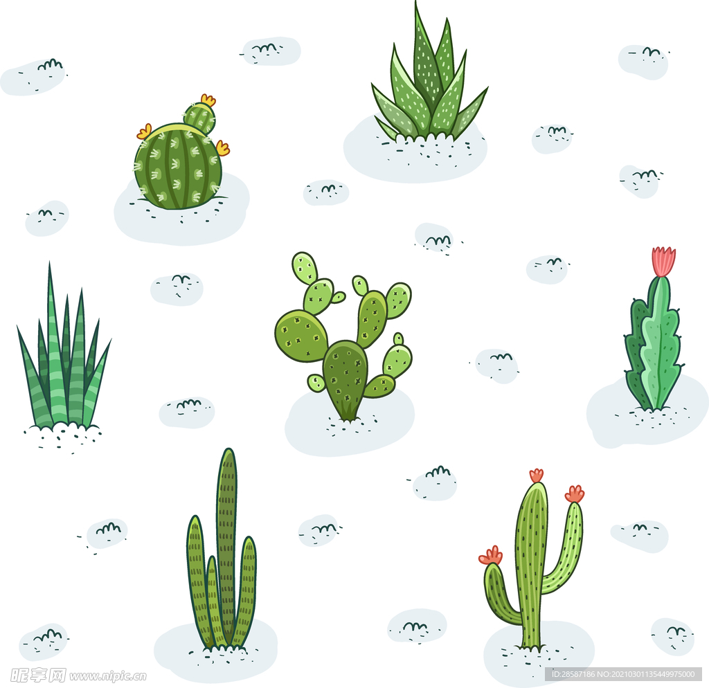 卡通植物