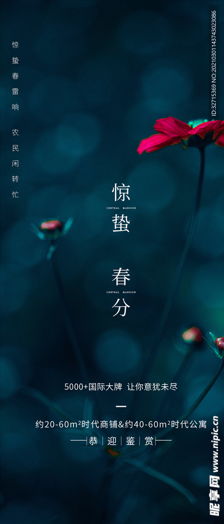 惊蛰