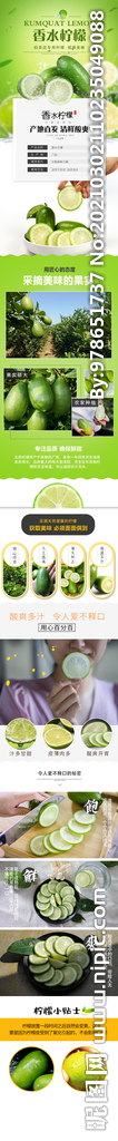 香水柠檬详情页 PSD分层详情