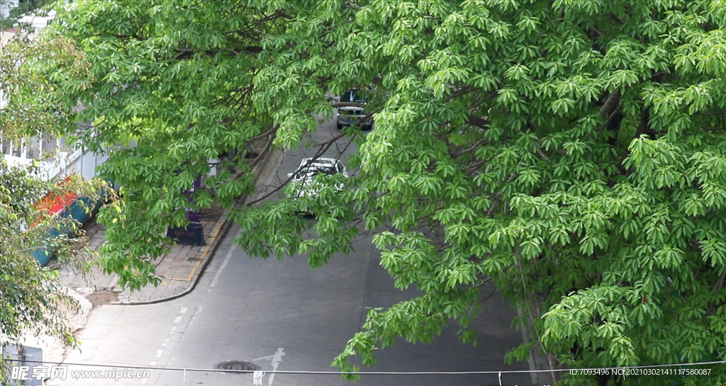 绿色城市