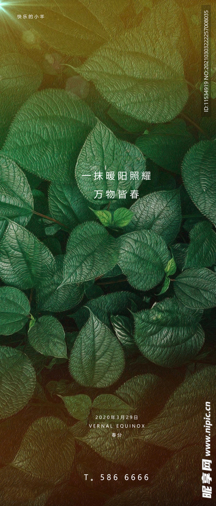 春分节气海报
