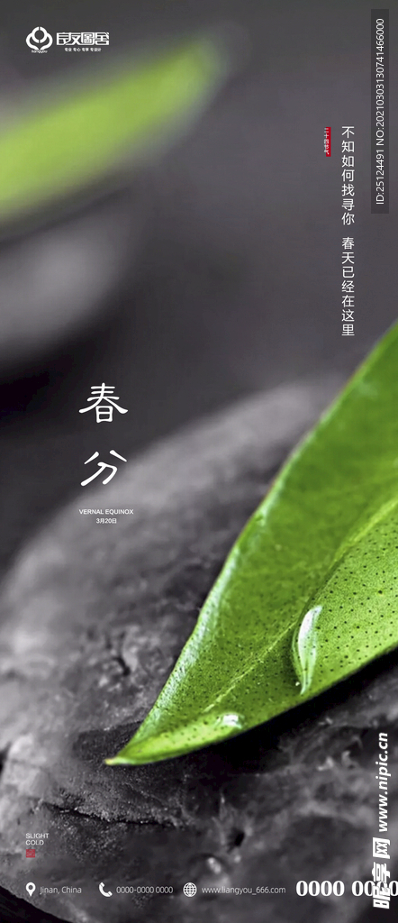春分 二十四节气 地产 刷屏海
