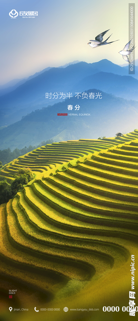 春分 二十四节气 地产 刷屏海