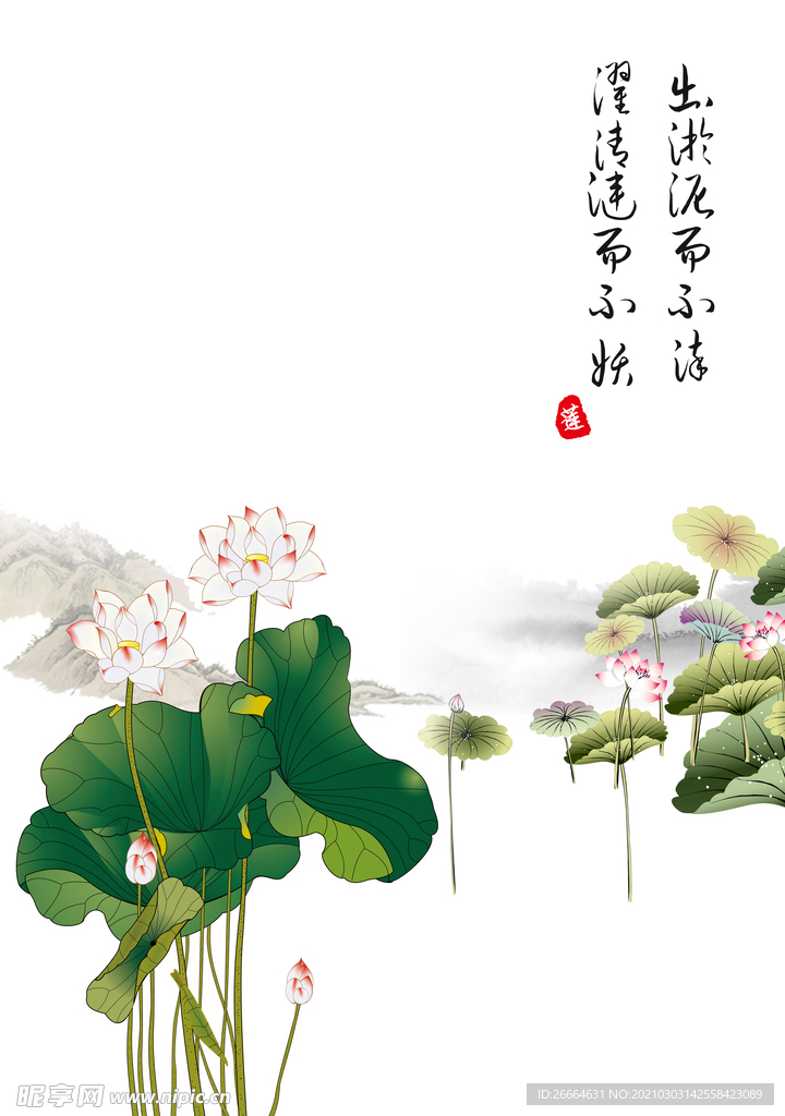 中国风水墨荷花