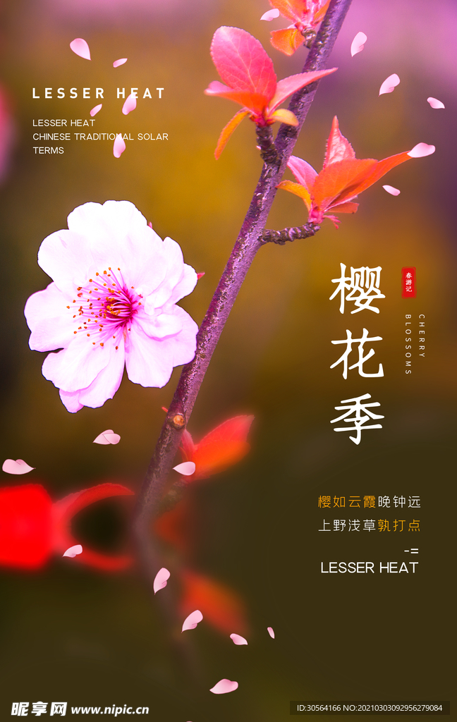 樱花季旅游宣传活动海报素材