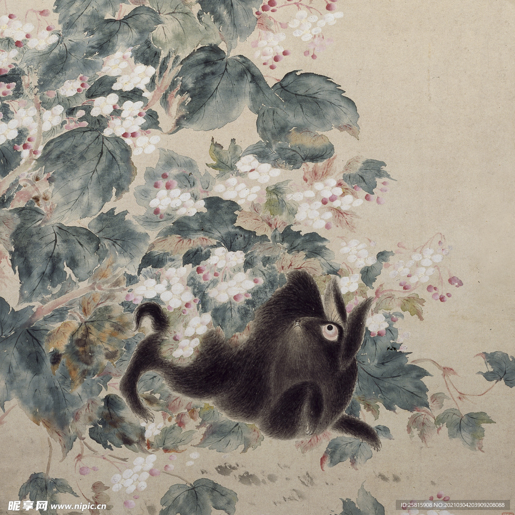 明清画