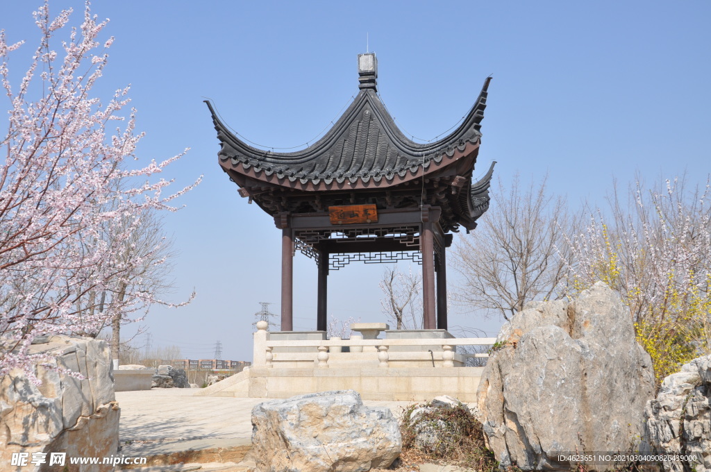 早春的公园景观