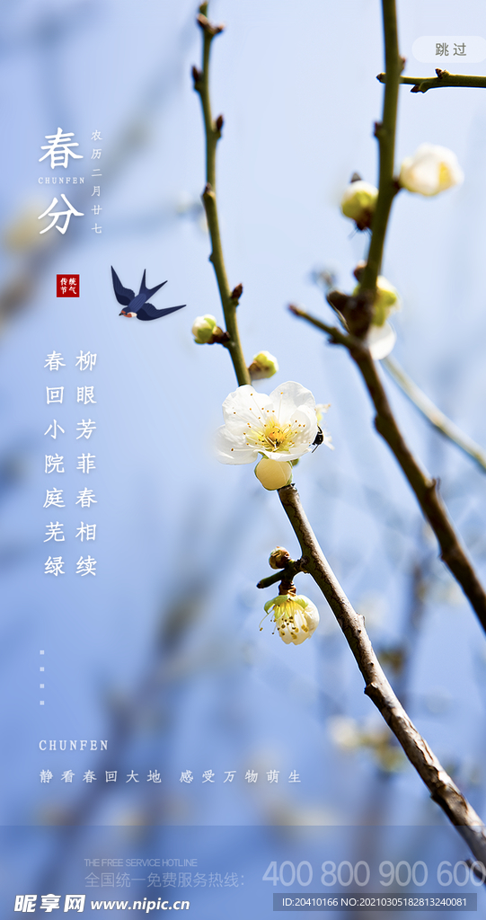 春分海报