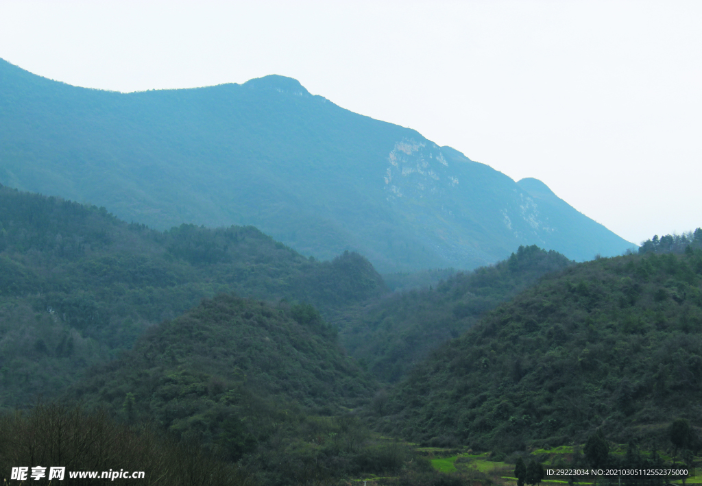 山