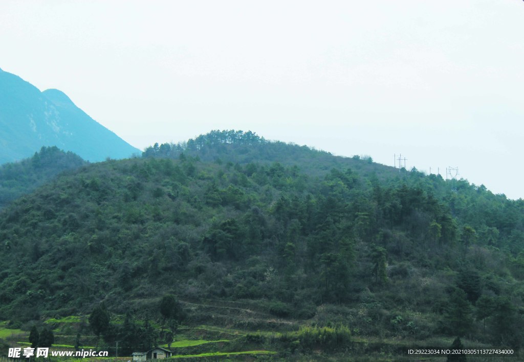 山
