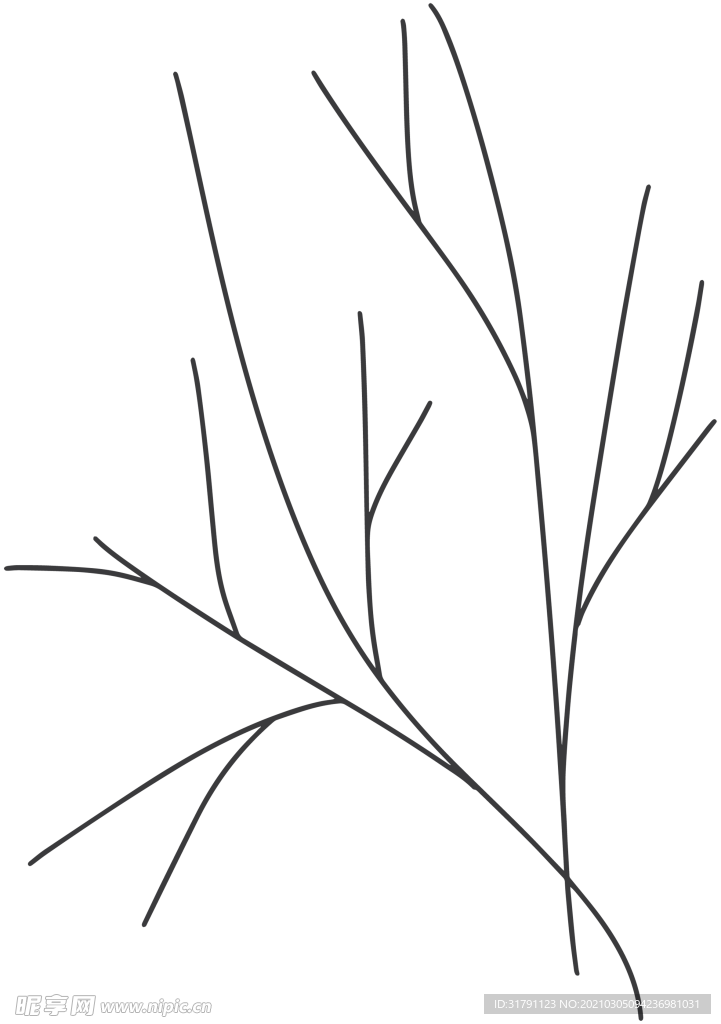 手绘树枝