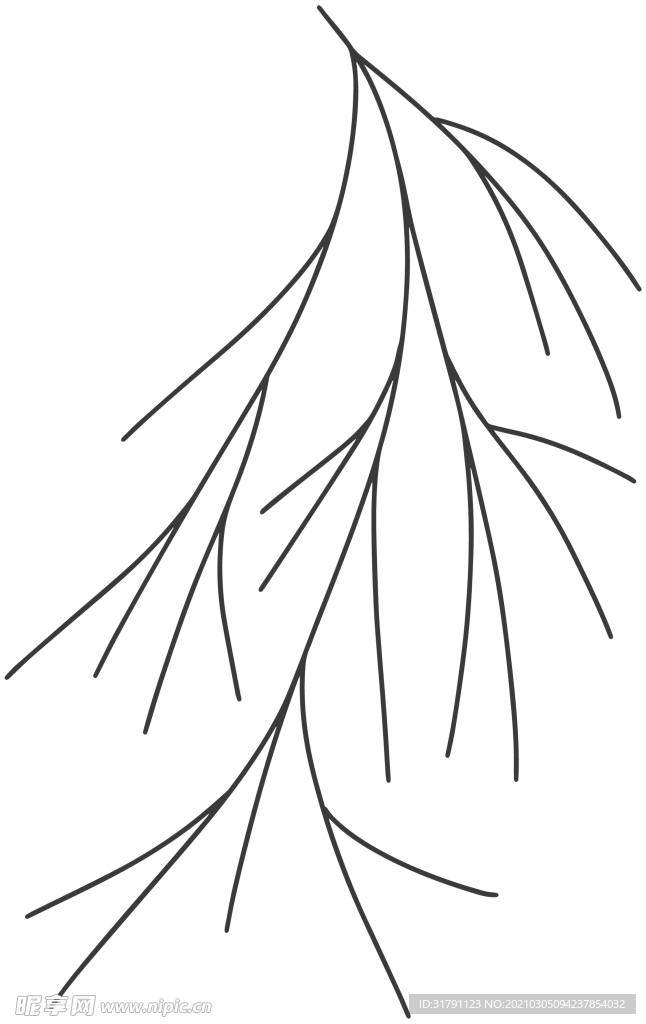 手绘树枝