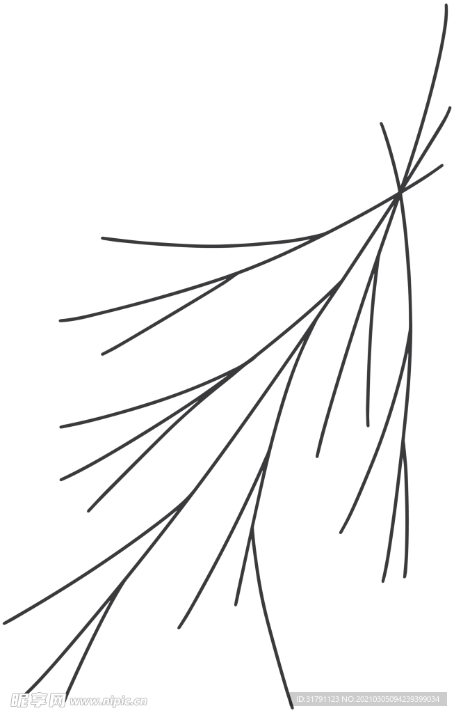 手绘树枝
