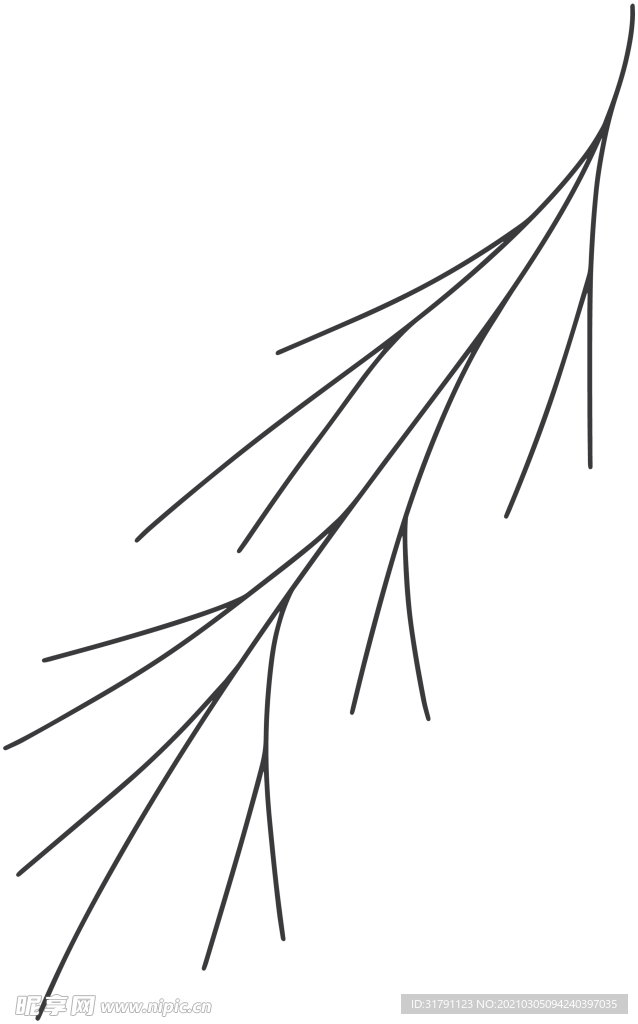 手绘树枝