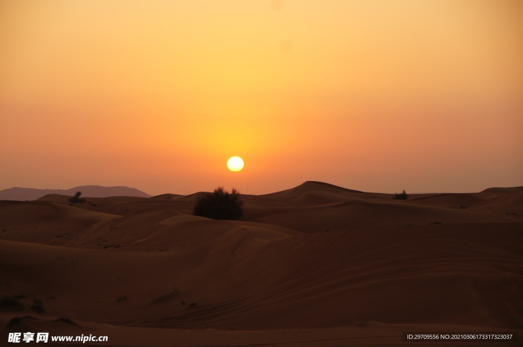 沙漠夕阳