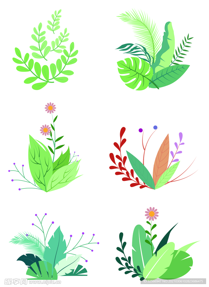 绿色植物