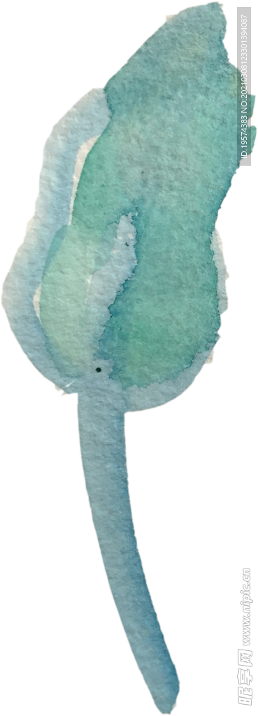 手绘水彩花卉花型花瓣