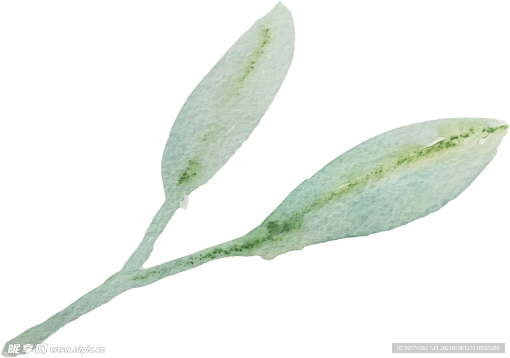 手绘水彩花卉花型花瓣