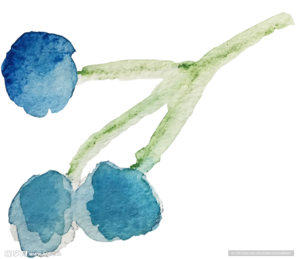 手绘水彩花卉花型花瓣