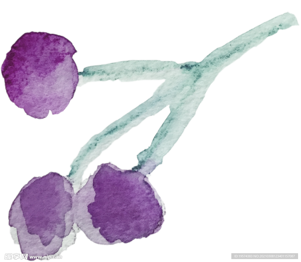 手绘水彩花卉花型花瓣