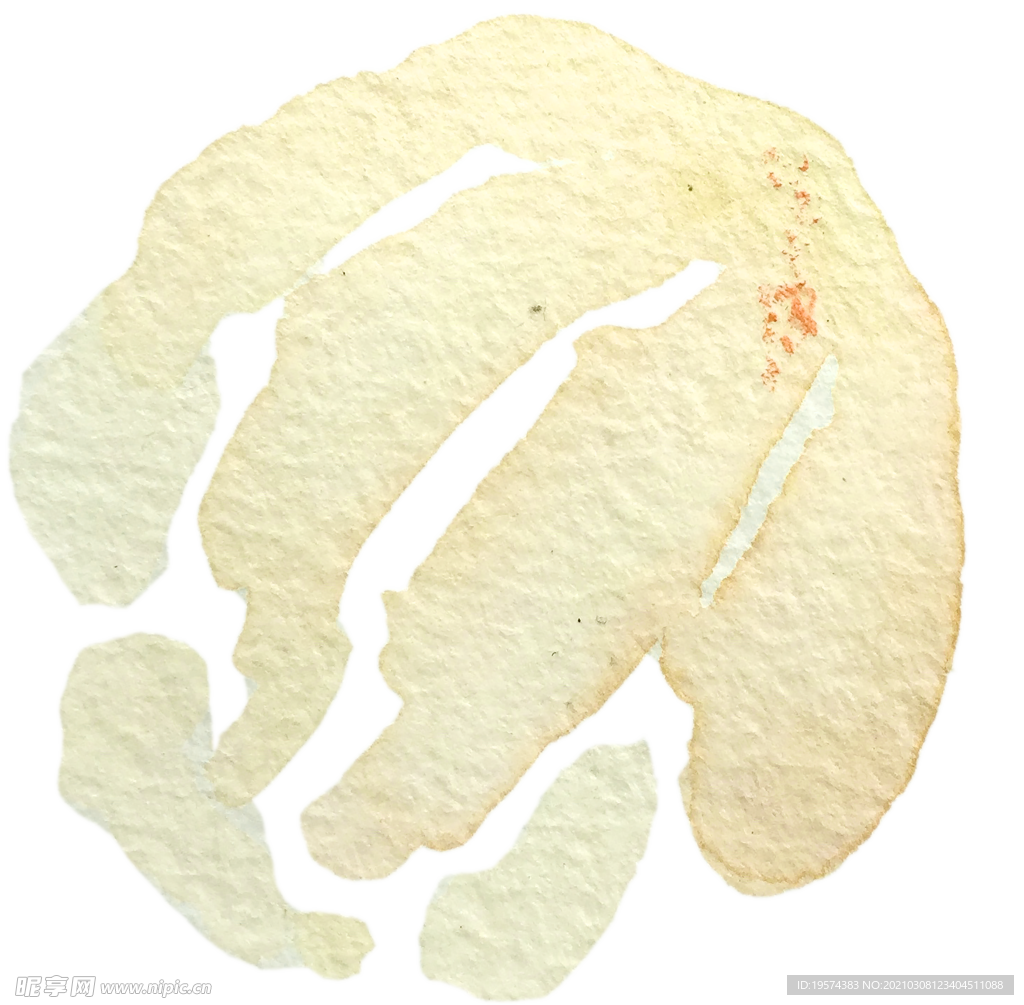 手绘水彩花卉花型花瓣